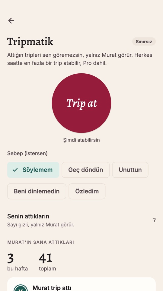 Tripmatik ekranı